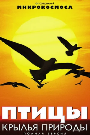 Птицы: Крылья природы 1 сезон